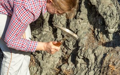 12 Dinge für die geologische Geländearbeit, und was ich damit mache